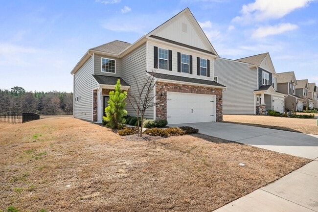 12843 Canterbury Castle Dr in Charlotte, NC - Building Photo - Building Photo