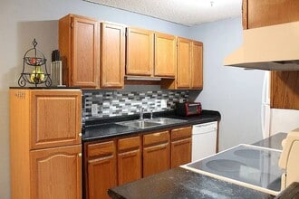 4 Pine Tree Dr in New Brighton, MN - Building Photo - Building Photo