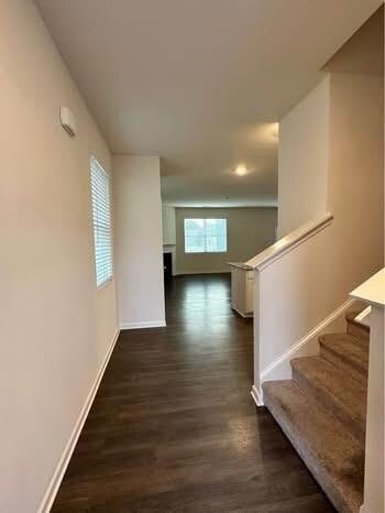 5374 Aster Pl in Oakwood, GA - Foto de edificio - Building Photo