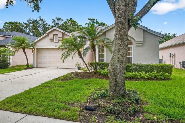 13411 Staghorn Rd in Tampa, FL - Building Photo - Building Photo
