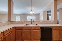 17338 Turquoise Stream Dr photo'