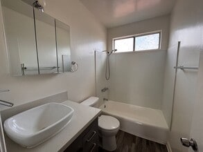 11243 Tiara St in Los Angeles, CA - Building Photo - Building Photo