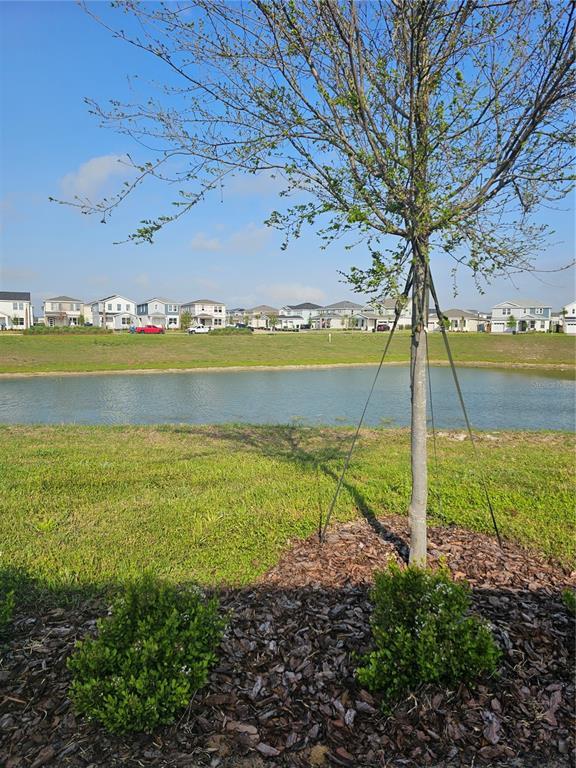 16294 Merry Aly in Winter Garden, FL - Building Photo - Building Photo