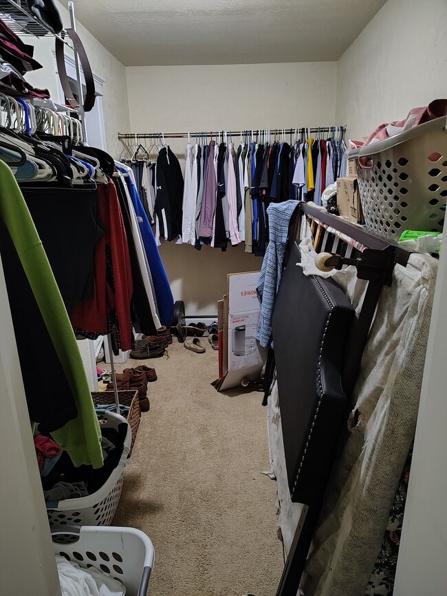 2132 Pauline Blvd, Unit 106 in Ann Arbor, MI - Foto de edificio - Building Photo