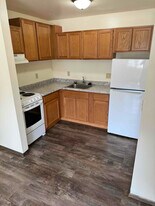 454 W Dayton St in Madison, WI - Building Photo