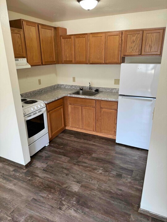 454 W Dayton St in Madison, WI - Building Photo