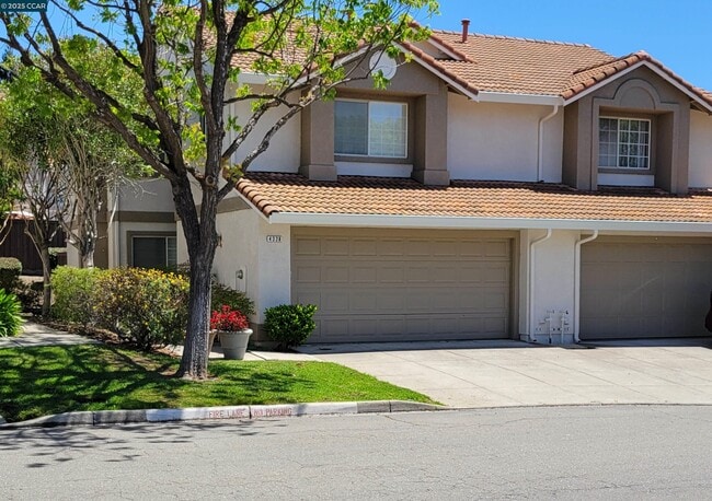 property at 4324 Conejo Dr