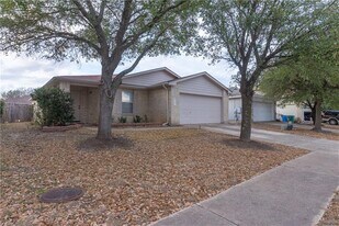 17302 Dashwood Creek Dr in Pflugerville, TX - Building Photo