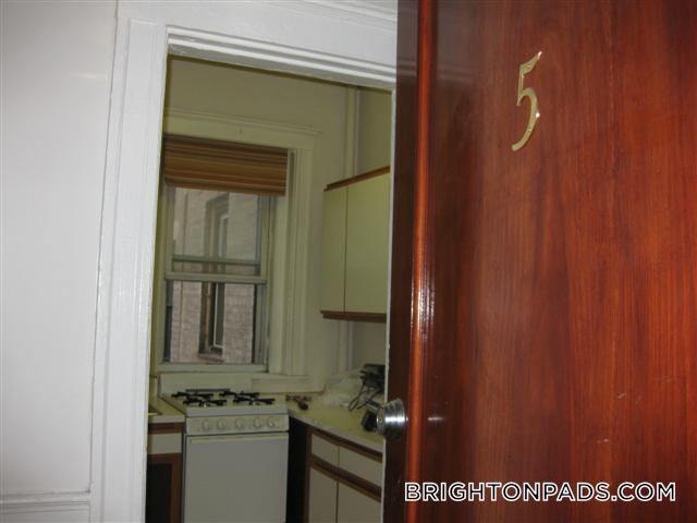 313 Allston St, Unit 5 in Boston, MA - Building Photo - Building Photo