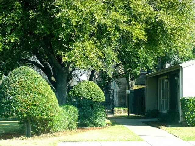 Boca Club Condos in Fort Worth, TX - Foto de edificio - Other