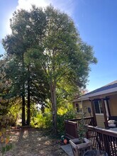 2822 Montebello Way in Cameron Park, CA - Building Photo - Building Photo