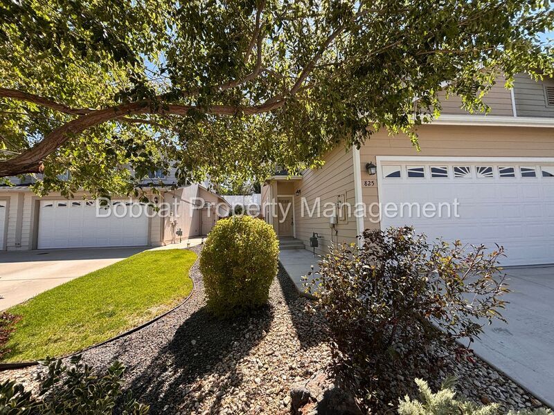 825 Cassidy Ct in Carson City, NV - Building Photo