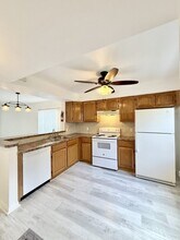 380 2nd Ave N in Safety Harbor, FL - Building Photo - Building Photo