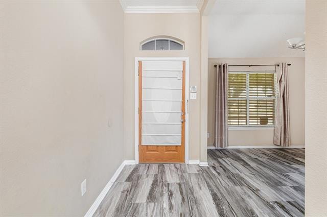 1409 Ridge Meadow Dr in Plano, TX - Building Photo - Building Photo