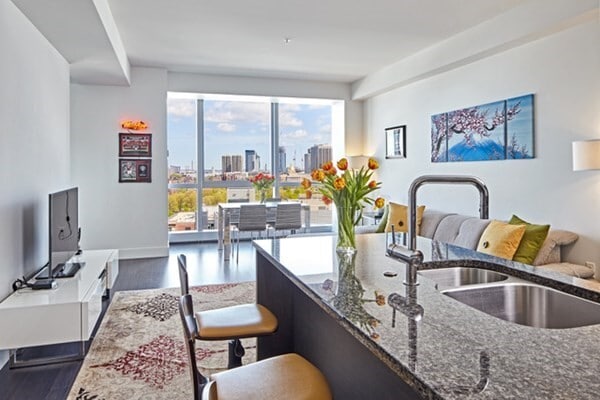 115 Stuart St, Unit 19c