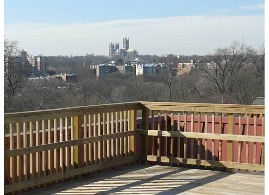 2627 Adams Mill Rd NW in Washington, DC - Building Photo - Building Photo