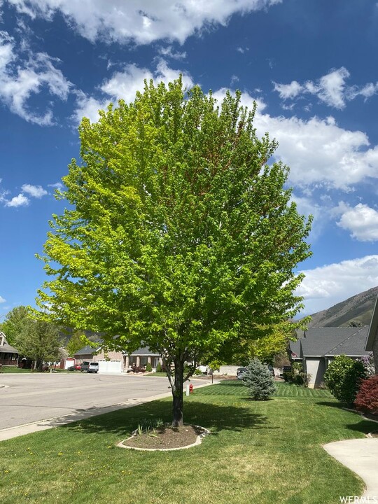 420 E 200 N in Mapleton, UT - Foto de edificio