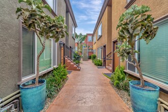 3956 Texas St, Unit 12 in San Diego, CA - Building Photo - Building Photo