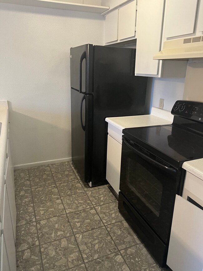 155 Sprucewood Ln in San Antonio, TX - Foto de edificio - Building Photo