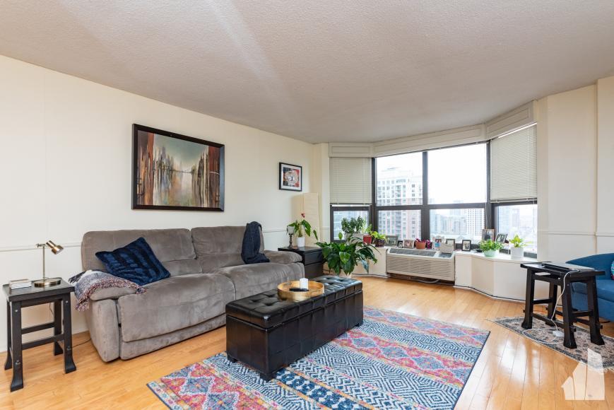 899 S Plymouth Ct in Chicago, IL - Building Photo