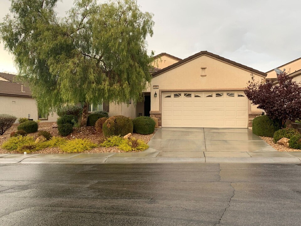 2452 Cosmic Ray Pl in Henderson, NV - Building Photo