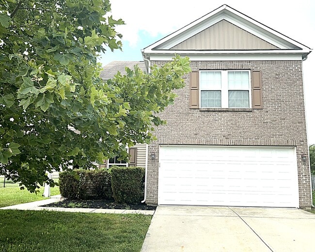 property at 1127 Fiesta Dr