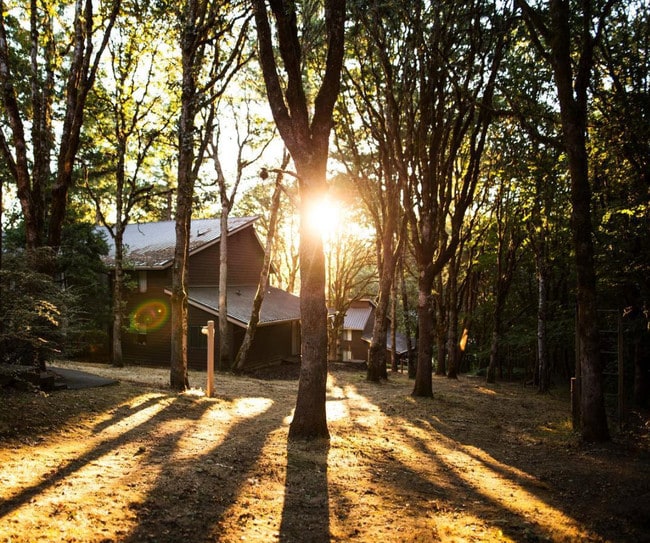 Oak Vale Apartments in Corvallis, OR - Building Photo - Building Photo