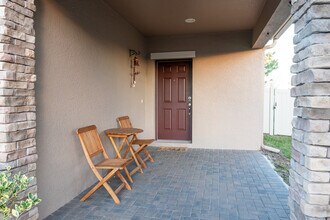 19376 Roseate Dr in Lutz, FL - Building Photo - Building Photo