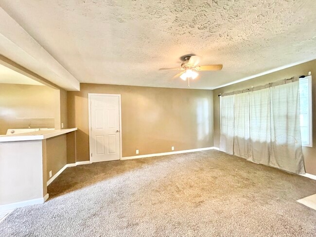 407 E Lincoln St, Unit 1 in De Soto, IL - Building Photo - Building Photo