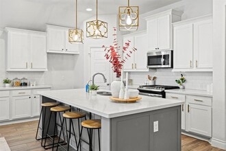 217 Magdalene Way in Liberty Hill, TX - Building Photo - Building Photo