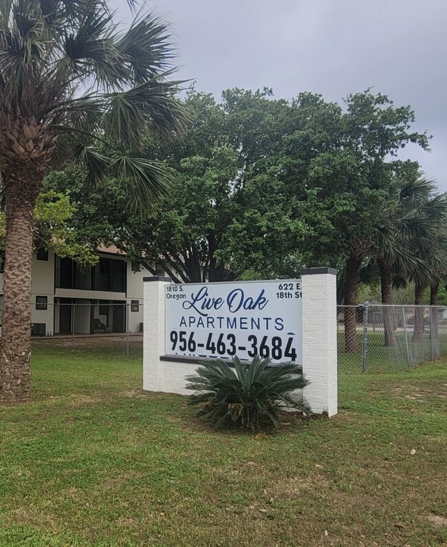 Live Oak Apartments in Weslaco, TX - Building Photo - Building Photo