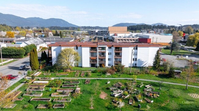 Mainstreet Duncan Apartments in Duncan, BC - Building Photo - Building Photo