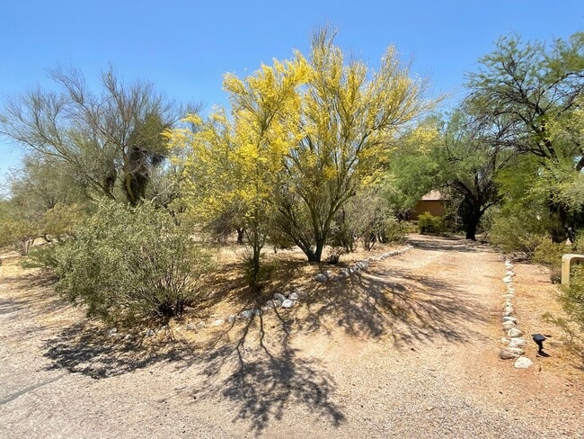 property at 7821 N Leonardo Da Vinci Way
