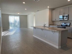 3289 Fresno Pl in Wesley Chapel, FL - Building Photo - Building Photo