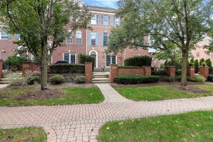 310 Big Rail Dr in Naperville, IL - Building Photo