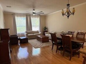 1027 Orca Ct in Holiday, FL - Building Photo - Building Photo