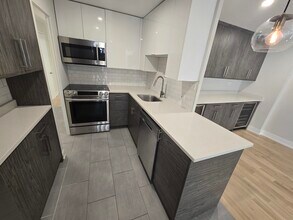 227 E Walton Pl in Chicago, IL - Building Photo - Building Photo
