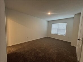 31306 Paper Birch St in Wesley Chapel, FL - Building Photo - Building Photo