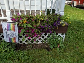 821 Stanley St in Ypsilanti, MI - Building Photo - Building Photo