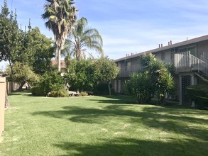 Olive Tree Apartments in Stockton, CA - Building Photo - Building Photo