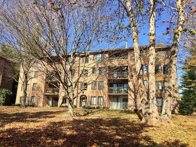 property at 5805 Edson Ln
