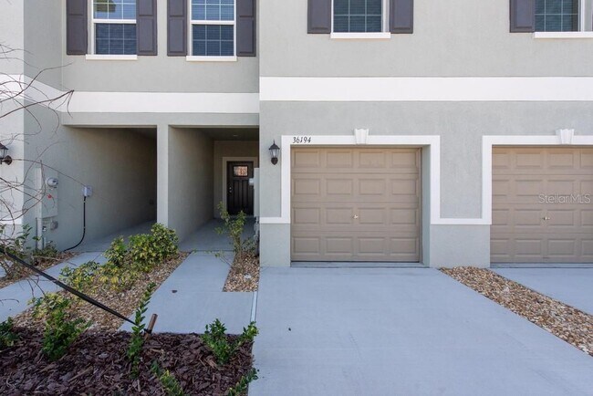 36194 Risa Michele St in Zephyrhills, FL - Building Photo - Building Photo