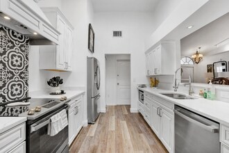 16 Citrus Dr in Palm Harbor, FL - Building Photo - Building Photo