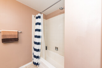 212 E Cullerton St, Unit 1207 in Chicago, IL - Building Photo - Building Photo