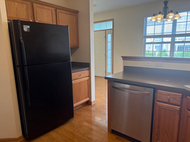 104 W Park Ave in Sugar Grove, IL - Building Photo - Building Photo