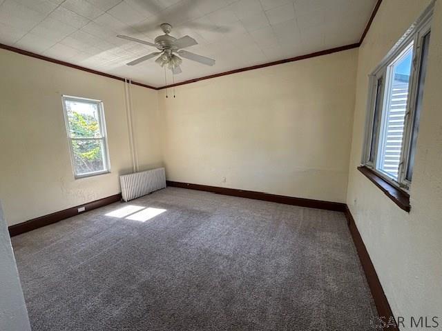 906 Lemon St in Johnstown, PA - Building Photo - Building Photo