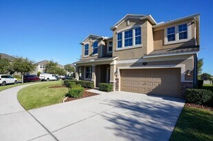 10663 Pictorial Park Dr in Tampa, FL - Building Photo