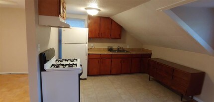 1320 Alexander St-Unit -B in Houston, TX - Building Photo - Building Photo