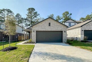 52 Valiant Ridge Trail in Magnolia, TX - Building Photo - Building Photo