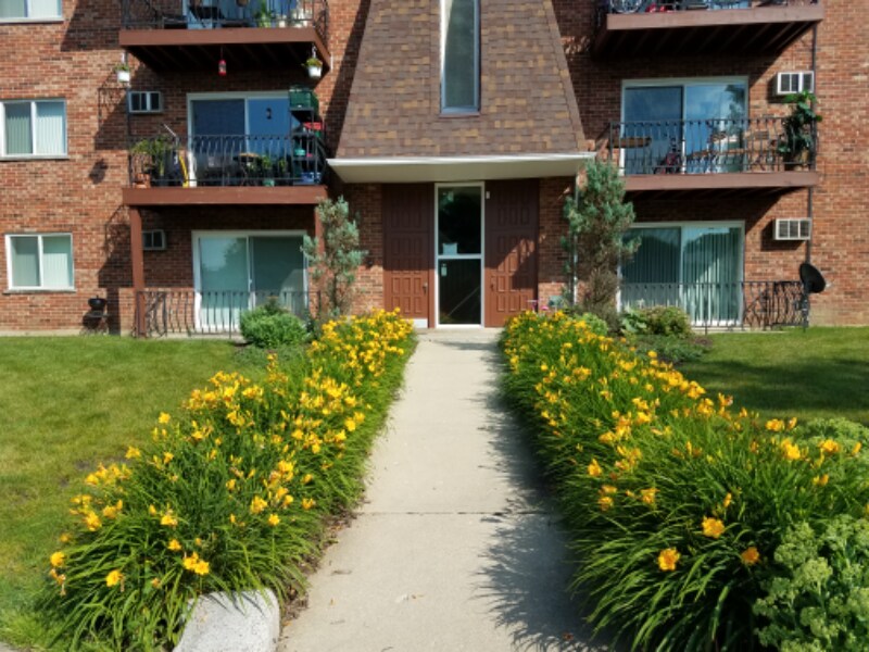 10S511 Echo Ln in Willowbrook, IL - Building Photo